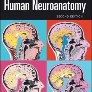 HUMAN NEUROANATOMY: AN INTRODUCTION